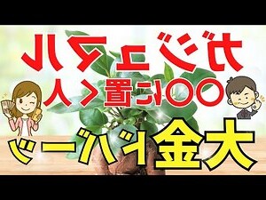 高速公路 風水